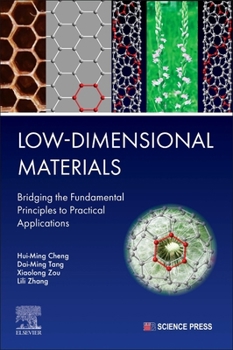 Paperback Low-Dimensional Materials: Bridging the Fundamental Principles to Practical Applications Book