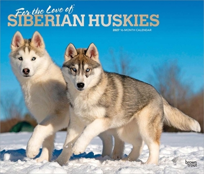 For the Love of Siberian Huskies 2027 14 X 24 Inch (Hanging) Monthly Deluxe Wall Calendar Foil Stamped Cover Plastic-Free