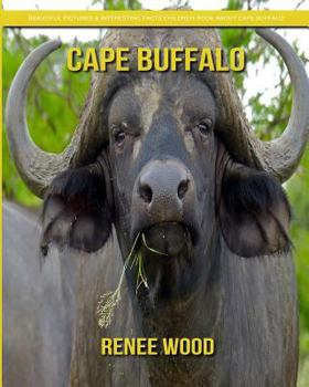 Paperback Cape Buffalo: Beautiful Pictures & Interesting Facts Children Book about Cape Buffalo Book