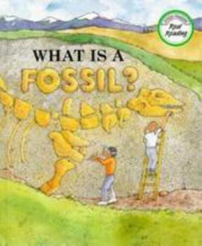 Hardcover What is a Fossil? Book