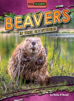 Library Binding Beavers in Their Ecosystems Book