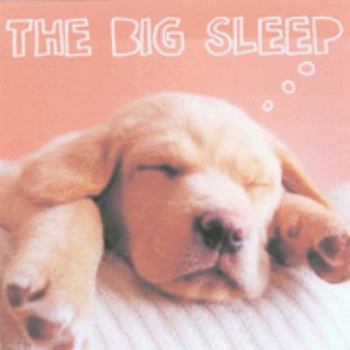 Hardcover The Big Sleep Book