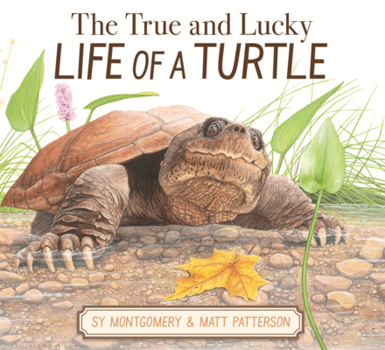 True and Lucky Life of a Turtle
