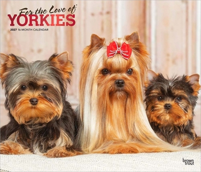 For the Love of Yorkshire Terriers 2027 14 X 24 Inch (Hanging) Monthly Deluxe Wall Calendar Foil Stamped Cover Plastic-Free