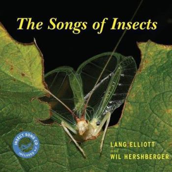 Paperback The Songs of Insects [With CD] Book