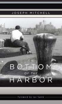 Hardcover The Bottom of the Harbor Book