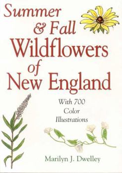 Paperback Summer & Fall Wildflowers of New England Book