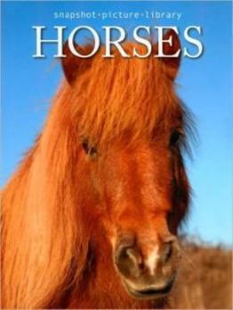 Hardcover Horses (Snapshot Picture Library) Book