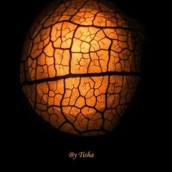 The Shorstors a Collection of Musings