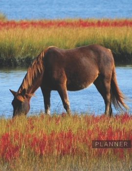 Planner: HorseAnime & Chill 2 Year Monthly Planner with Note Pages (24 Months) | Jan 2020 - Dec 2021 | Month Planning | Appointment Calendar Schedule | Plan Each Day, Set Goals & Get Stuff Done