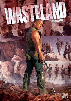 DVD Wasteland Book