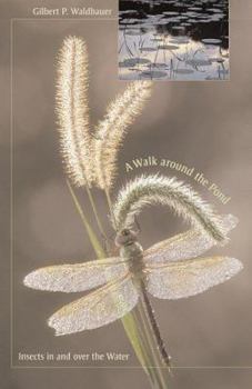 Hardcover A Walk Around the Pond: Insects in and Over the Water Book