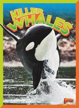 Paperback Killer Whales Book