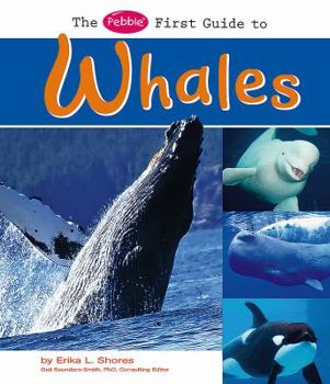 Hardcover The Pebble First Guide to Whales Book