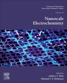 Paperback Nanoscale Electrochemistry: Volume 18 Book