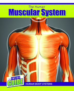 Paperback The Human Muscular System Book