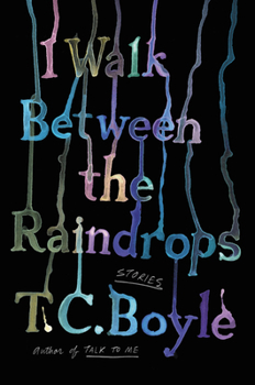 Hardcover I Walk Between the Raindrops: Stories Book