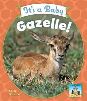 Library Binding It's a Baby Gazelle! Book