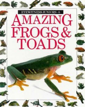 Hardcover Amazing Frogs and Toads (Eyewitness Juniors) Book