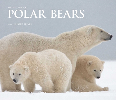 Hardcover Polar Bears: A Life Under Threat Book