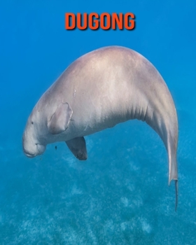 Paperback Dugong: Erstaunliche Fakten & Bilder [German] Book