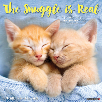 Calendar The Snuggle Is Real 2021 Wall Calendar Book