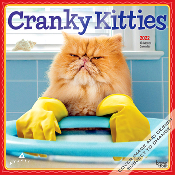 Avanti Cranky Kitties 2022 12 x 12 Inch Monthly Square Wall Calendar with Foil Stamped Cover, Angry Cat Humor Feline