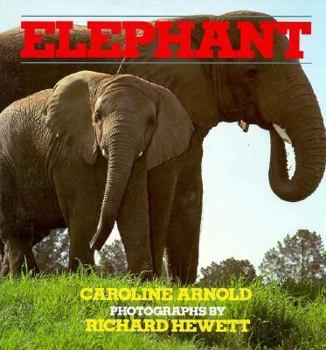 Hardcover Elephant Book