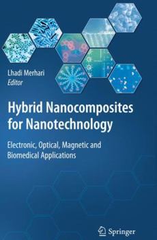 Paperback Hybrid Nanocomposites for Nanotechnology: Electronic, Optical, Magnetic and Biomedical Applications Book