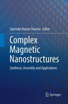 Paperback Complex Magnetic Nanostructures: Synthesis, Assembly and Applications Book