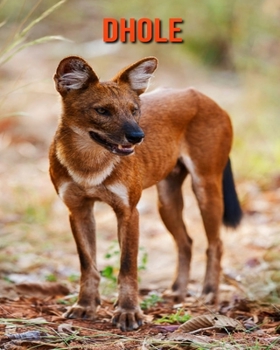 Paperback Dhole: Amazing Facts & Pictures Book