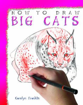 Library Binding How to Draw Big Cats Book