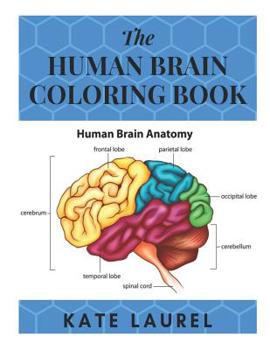 Paperback The Human Brain Coloring Book: Human Brain Student's Self-Test Coloring Book, Human Brain Model Anatomy, Human Brain Diagram, Human Brain Art, Human Book