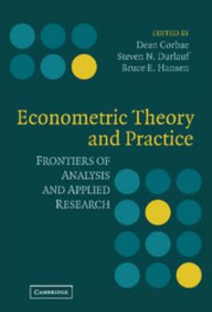 Hardcover Econometric Theory and Practice Book