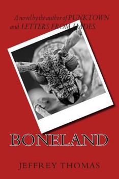 Paperback Boneland Book