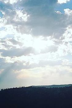 Paperback Wanderer Book