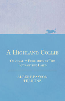 A Highland Collie