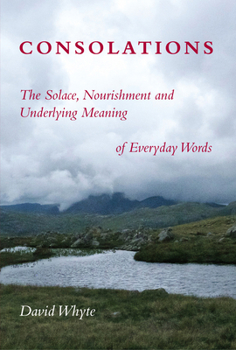 Paperback Consolations: The Solace, Nourishment and Underlying Meaning of Everyday Words Book