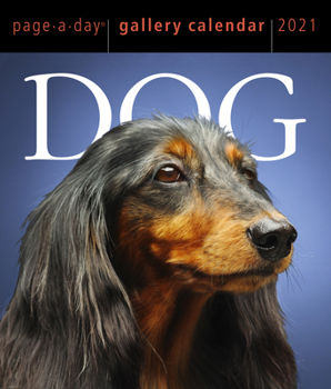 Calendar Dog Page-A-Day Gallery Calendar 2021 Book
