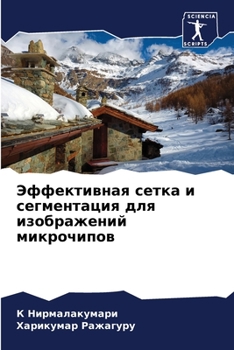 Paperback &#1069;&#1092;&#1092;&#1077;&#1082;&#1090;&#1080;&#1074;&#1085;&#1072;&#1103; &#1089;&#1077;&#1090;&#1082;&#1072; &#1080; &#1089;&#1077;&#1075;&#1084; [Russian] Book