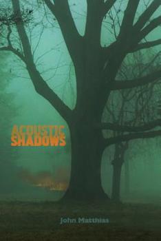 Paperback Acoustic Shadows Book