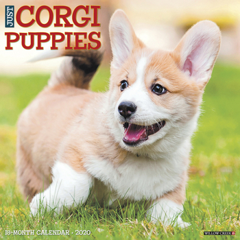 Calendar Just Corgi Puppies 2020 Wall Calendar (Dog Breed Calendar) Book