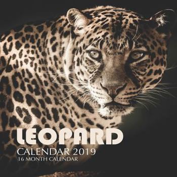 Paperback Leopard Calendar 2019: 16 Month Calendar Book