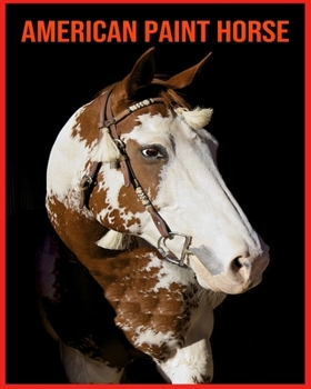 American Paint Horse: Beautiful Pictures & Interesting Facts Children Book About American Paint Horse