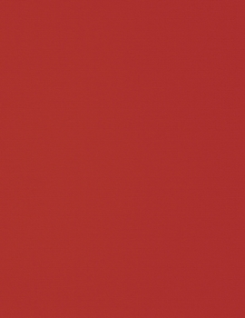 Notebook: 8.5 x 11 inches, lined paper, 110 pages (red notebook/journal/composition book).