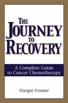 Paperback Journey to Recovery Book