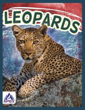 Paperback Leopards Book