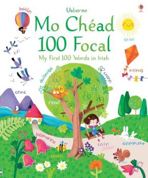 Hardcover My First 100 Words In Irish Book