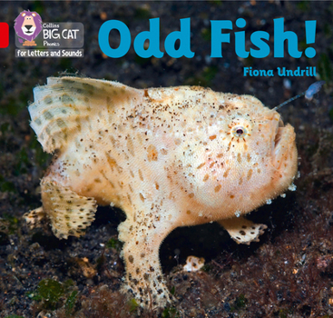 Paperback Odd Fish!: Band 02b/Red B Book