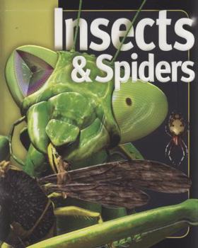 Hardcover Insects & Spiders. Noel Tait Book